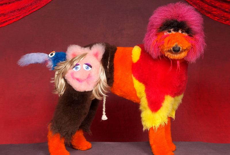 Самые странные хобби и развлечения некоторых людей Самые нелепые и странные хобби, странные увлечения