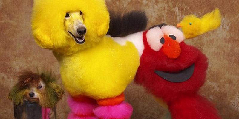 Самые странные хобби и развлечения некоторых людей Самые нелепые и странные хобби, странные увлечения