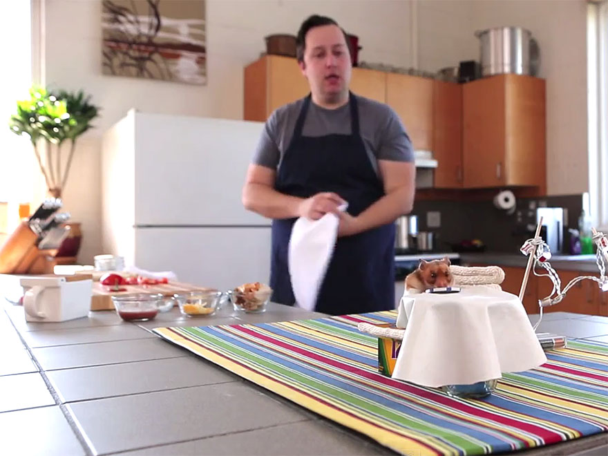 буррито для хомяка, крошечный буррито, повар накормил хомяка буррито