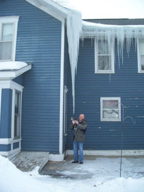 Глупые поступки, награды за глупость, Идиот года, люди идиоты