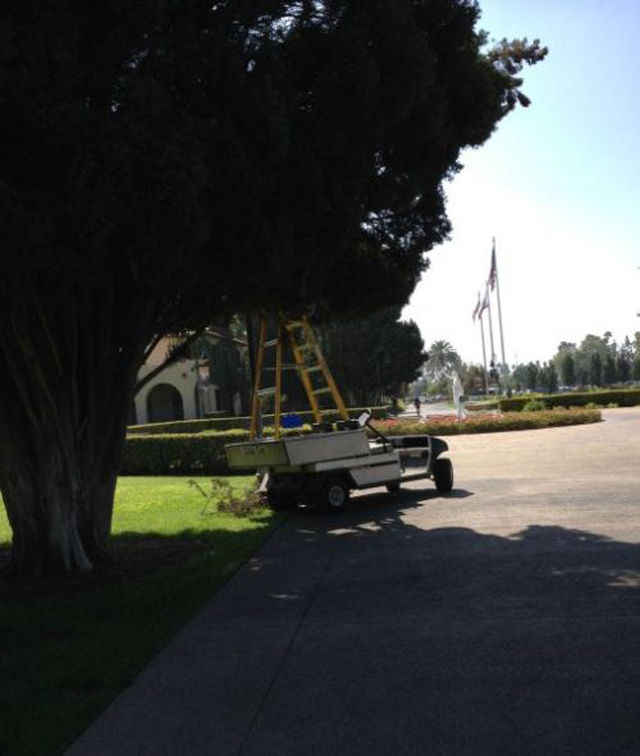 Глупые поступки, награды за глупость, Идиот года, люди идиоты