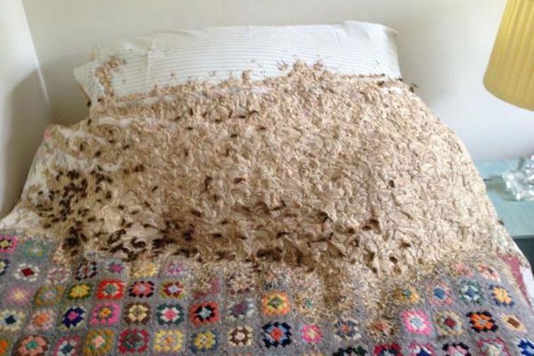 редкие фотографии, поразительные снимки