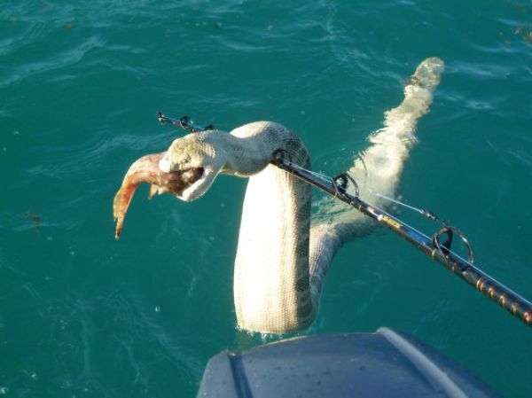 редкие фотографии, поразительные снимки