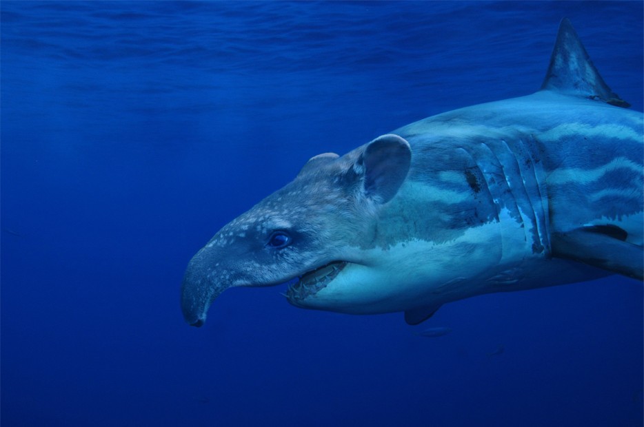 гибриды животных, гибриды животных фотошоп, гибриды животных при помощи фотошопа