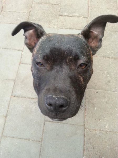 фотоиллюзии, в стиле показалось, показалось