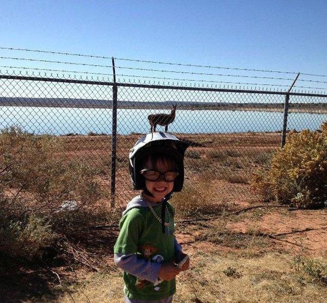 фотоиллюзии, в стиле показалось, показалось