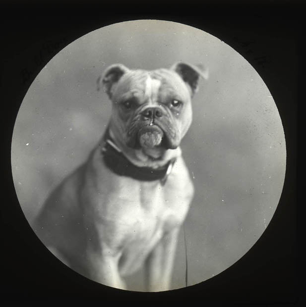 смешные ретро фотографии, ретро фотографии корчат рожи, люди корчат рожи на старых фото