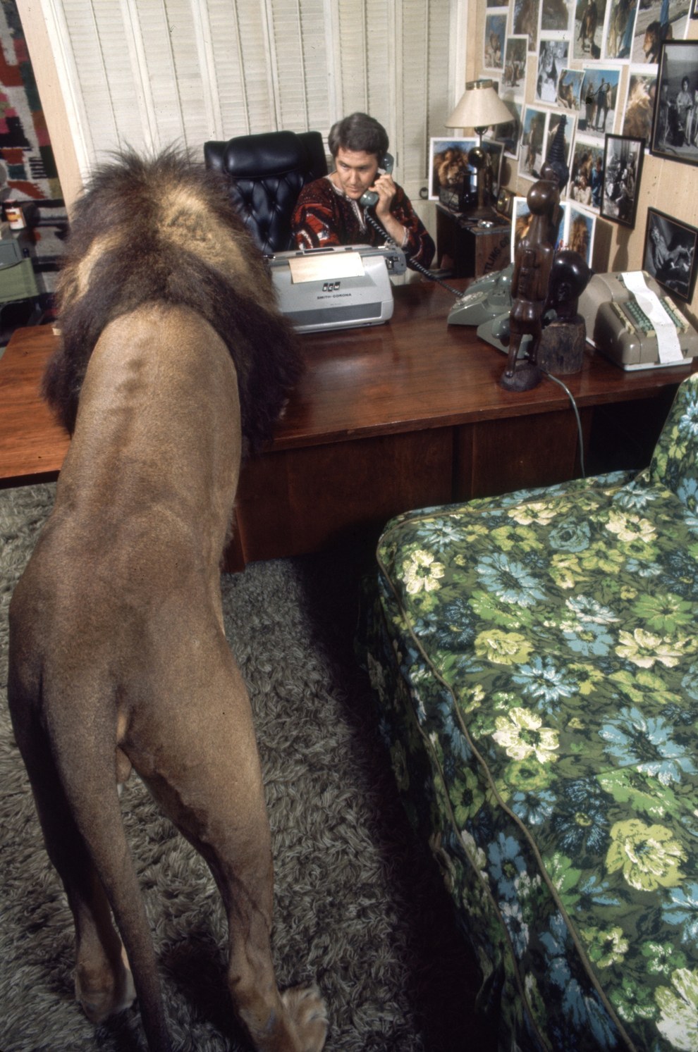 Мелани Гриффит, Мелани Гриффит и лев Нил, фильм рёв