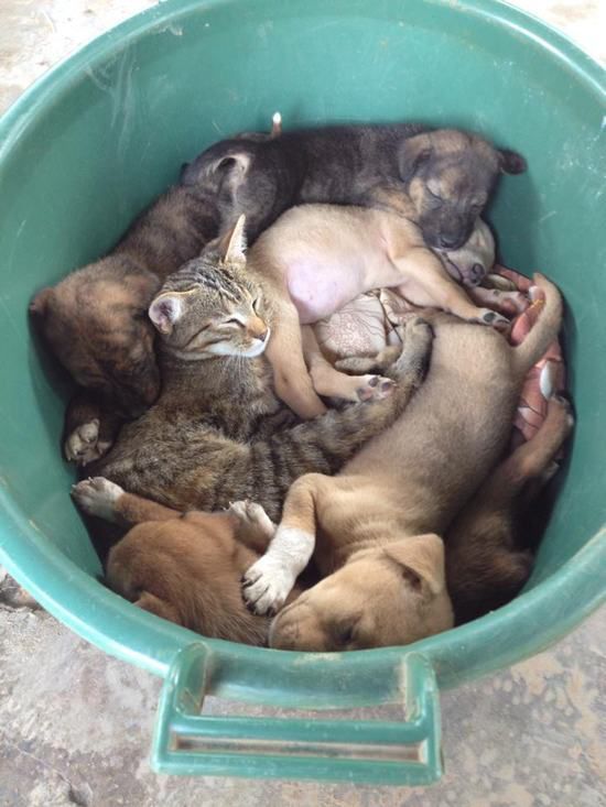 здесь что-то не так, лишние вещи на фото, лишние элементы на фотографиях