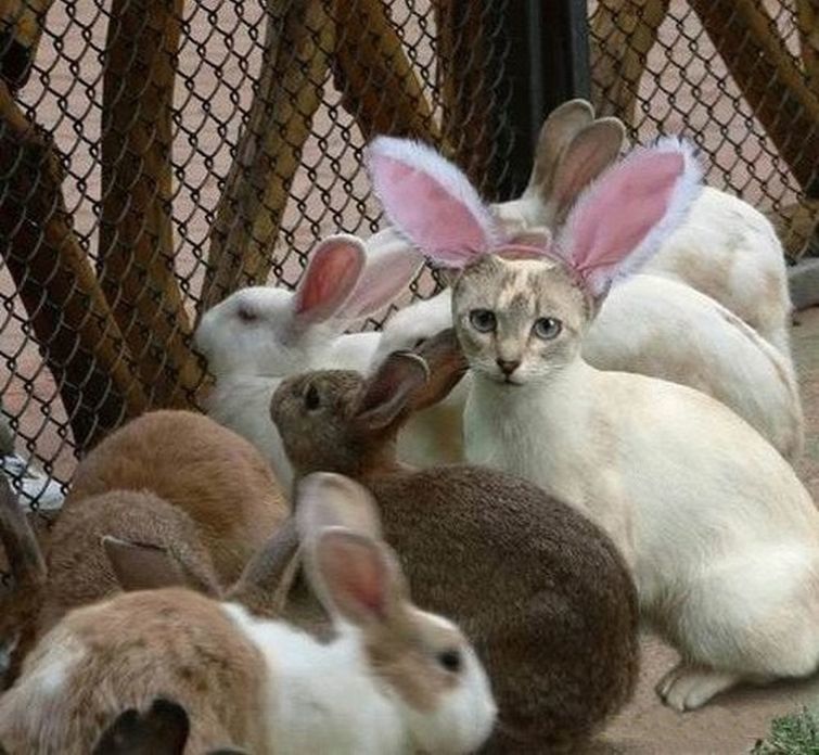 здесь что-то не так, лишние вещи на фото, лишние элементы на фотографиях