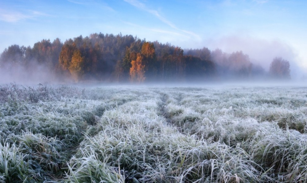 National Geographic за октябрь 2014, лучшие фотографии National Geographic