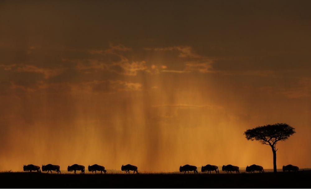 National Geographic за октябрь 2014, лучшие фотографии National Geographic