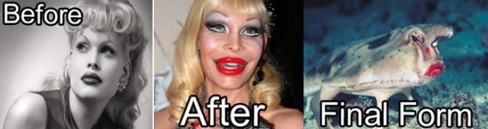 В кого превратятся знаменитости, если не перестанут делать пластические операции звёзды до и после пластических операций, в кого превращаются звёзды, любители пластических операций