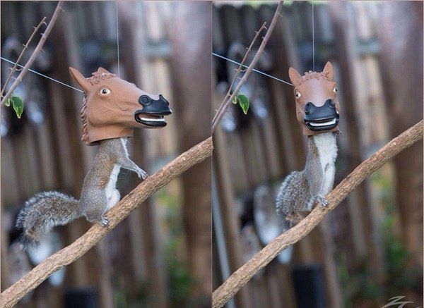 Оригинальные вещи и полезные идеи для облегчения жизни лайфхак, полезные советы, дизайнерские вещи