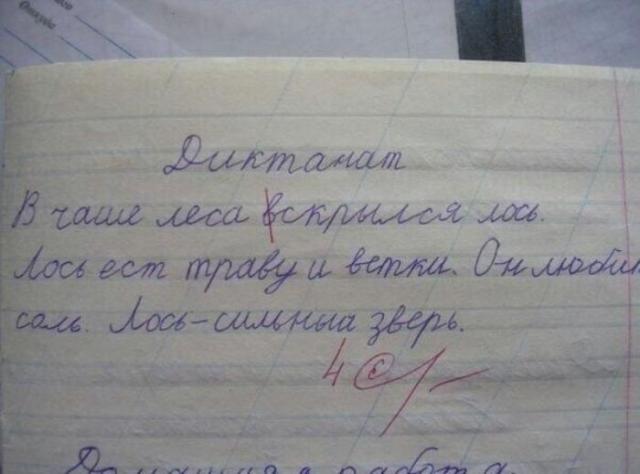 Позитив, юмор, смешные фотографии,прикол