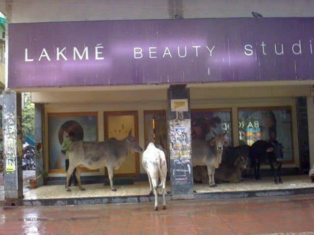 смешные фото Индия, маразмы Индия, реальная жизнь индийцев