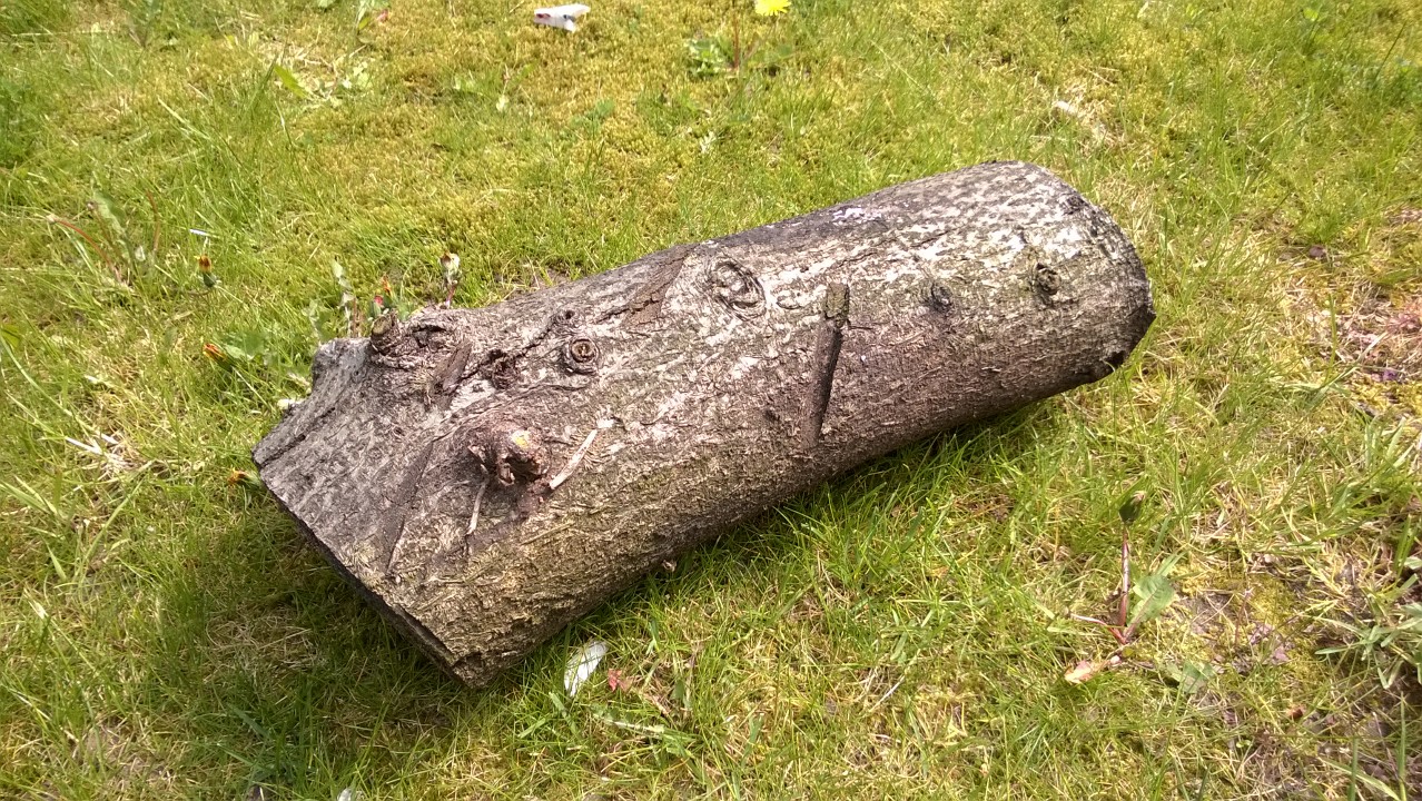 тайник из дерева, тайник своими руками. надёжный тайник