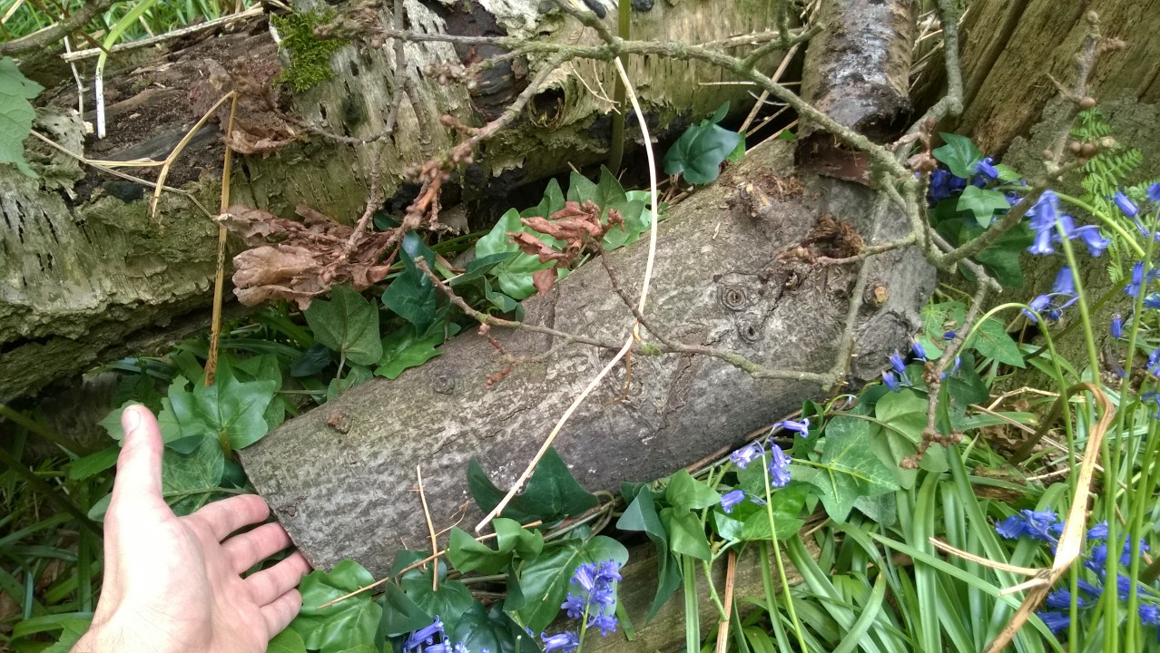 тайник из дерева, тайник своими руками. надёжный тайник