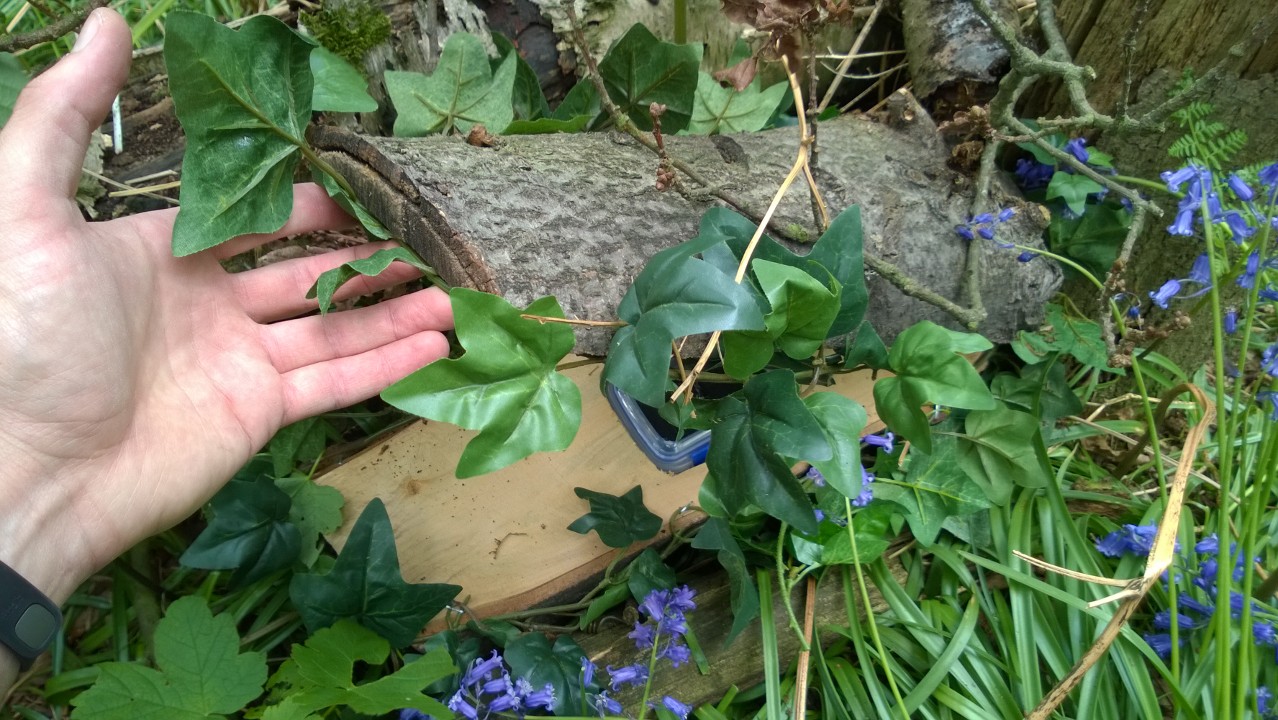 тайник из дерева, тайник своими руками. надёжный тайник