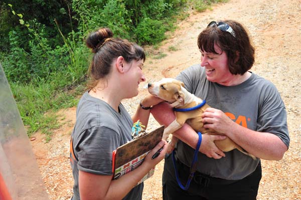 Спасение 8-недельного щенка, в результате крупнейшего рейда по фермам бойцовских собак Тимми Купер, рейд по фермам бойцовских собак, спасение щенка