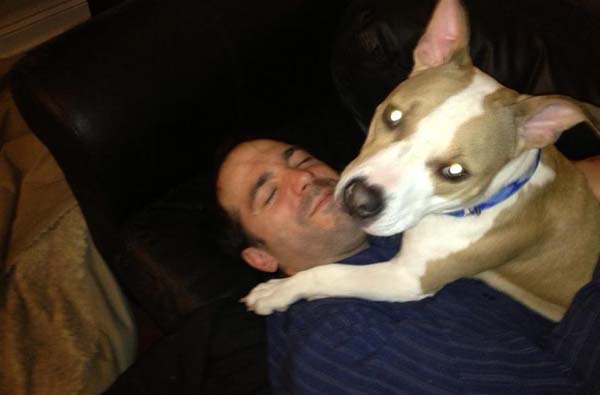 Спасение 8-недельного щенка, в результате крупнейшего рейда по фермам бойцовских собак Тимми Купер, рейд по фермам бойцовских собак, спасение щенка