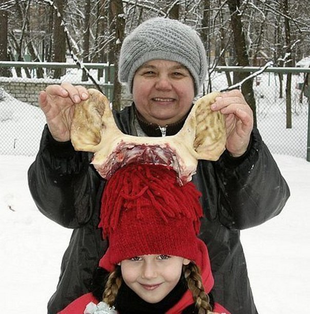 Непутёвые дети ужасных родителей, яблоня от яблони, худшие родители, наглые дети