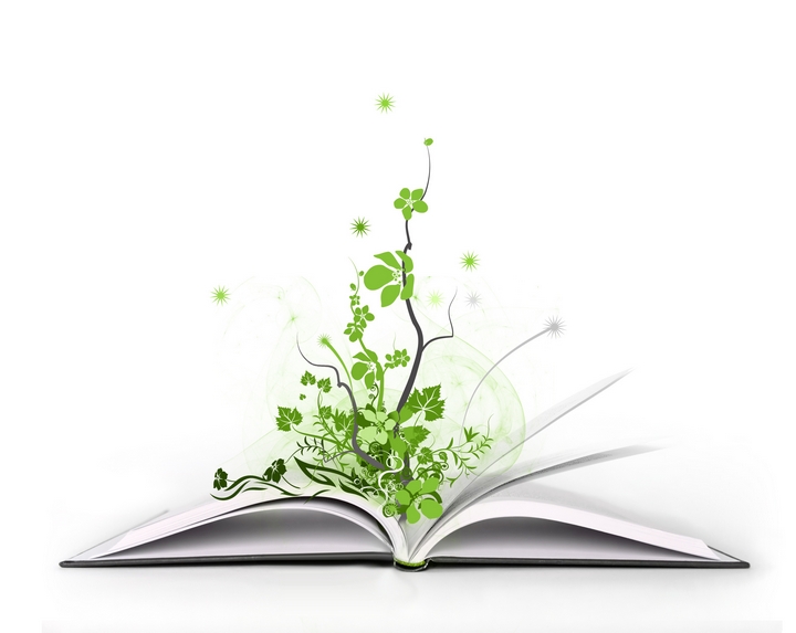 иностранные слова нельзя перевести на русский язык, слова которых нет в русском языке