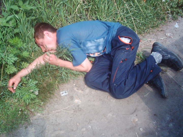 иностранные слова нельзя перевести на русский язык, слова которых нет в русском языке