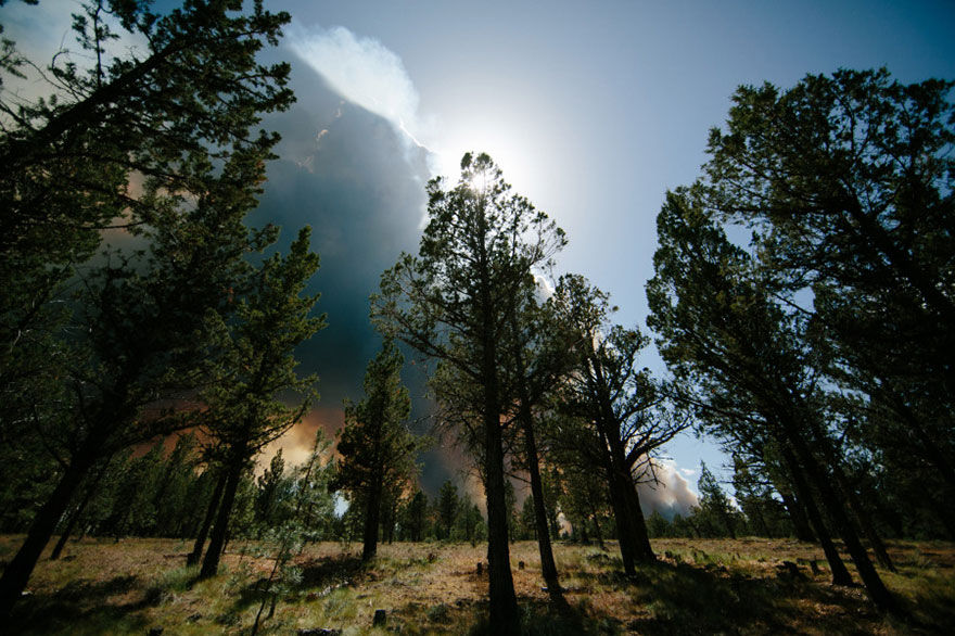 Свадебное фото пожар, свадьба на фоне лесного пожара,  Джош Ньютон,  Josh Newton
