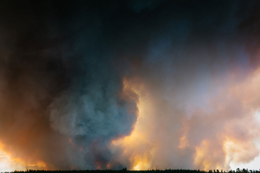 Свадебное фото пожар, свадьба на фоне лесного пожара,  Джош Ньютон,  Josh Newton