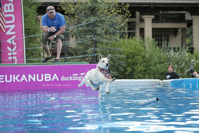Фотографии сделанные в нужный момент XXI в нужный момент поймать кадр лови момент