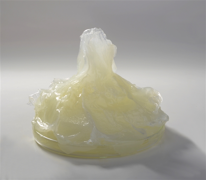 альтернативное применение продуктов