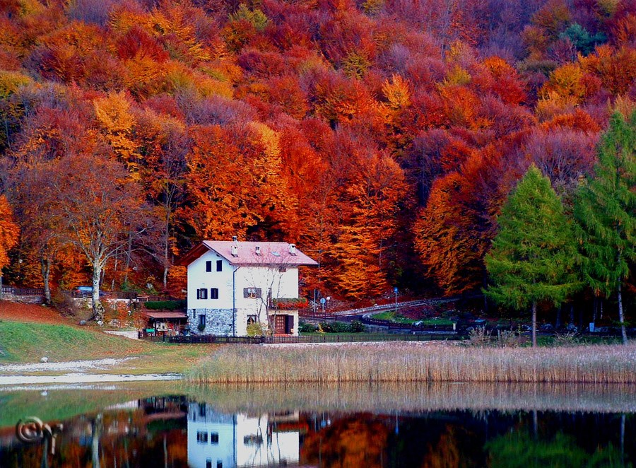 яркие краски осени, природа осень места, красивая осень, красивая природа осень