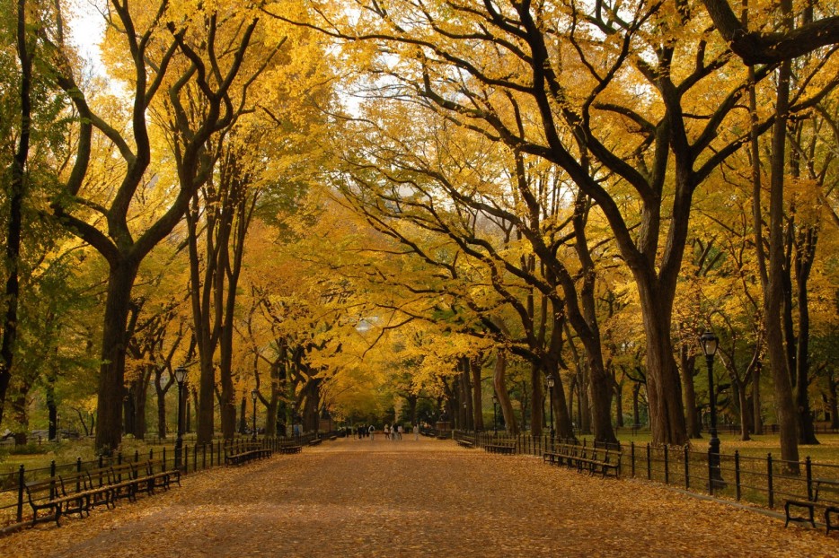 30 красивейших природных мест, окрашенных в золотые цвета осени