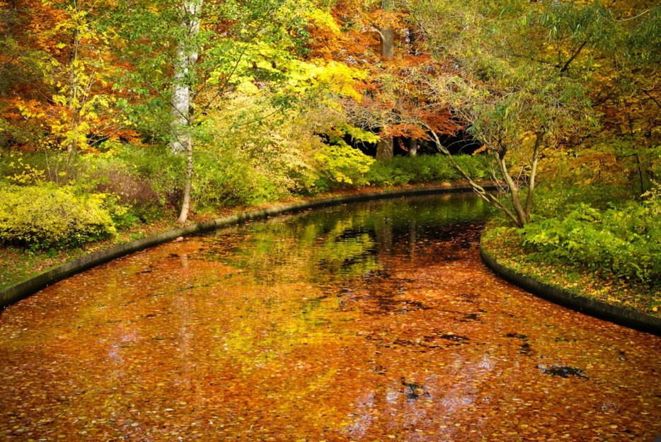 яркие краски осени, природа осень места, красивая осень, красивая природа осень