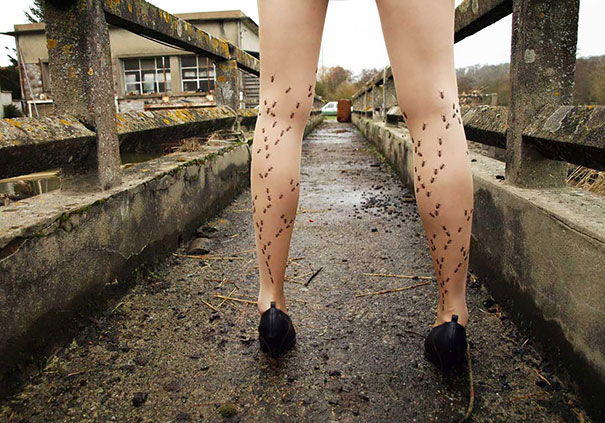 Креативные носочно-чулочные изделия, поражающие своей оригинальностью необычные носки, необычные колготки