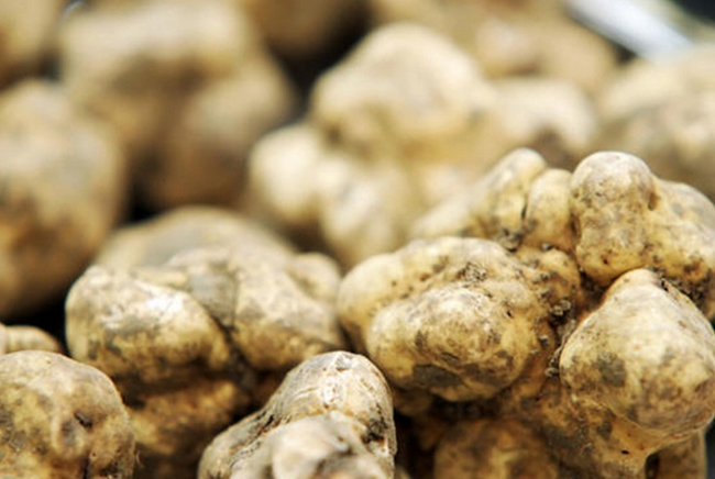 самые дорогие блюда, самые дорогие десерты, золотые роллы, золотой капкейк