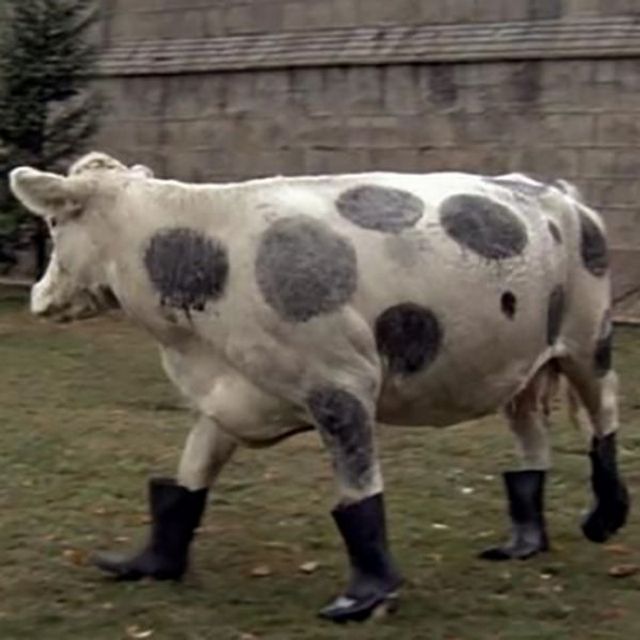 это россия детка, умом россию не понять, тем временем в России 