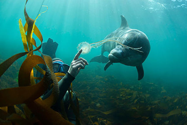 фотографии без фотошопа, фотографии сделанные без фотошопа