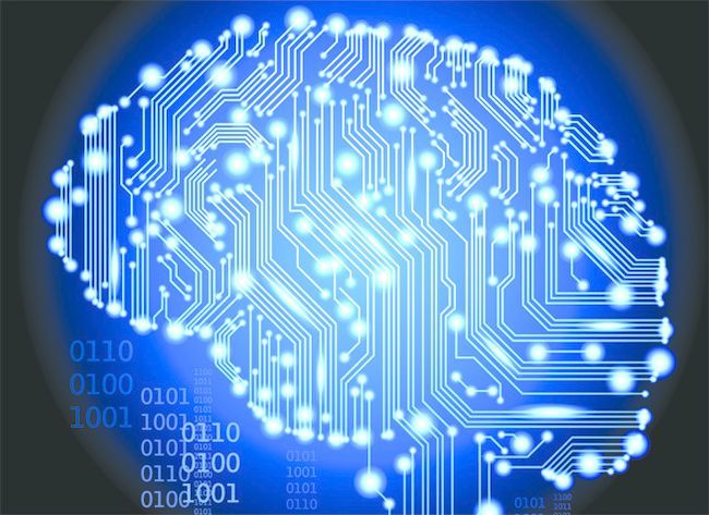 15 полезных и познавательных коротких фактов о нашем мозге полезные факты о мозге, короткие факты, интересные факты о мозге