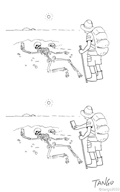 остроумные комиксы Tango, комиксы Tumblr Tango 