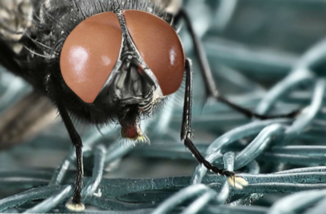 Ким Кардашьян на обложке журнала Paper, голый зад Ким Кардашьян, Ким Кардашьян снялась с голой задницей, фотожабы Ким Кардашьян