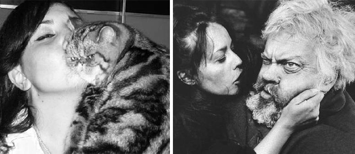 cat look like, коты похожие на знаменитостей, коты похожие на нечто другое