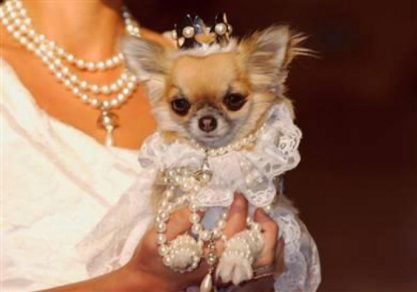 На что тратили свои деньги миллионеры XIX века, позолоченный век