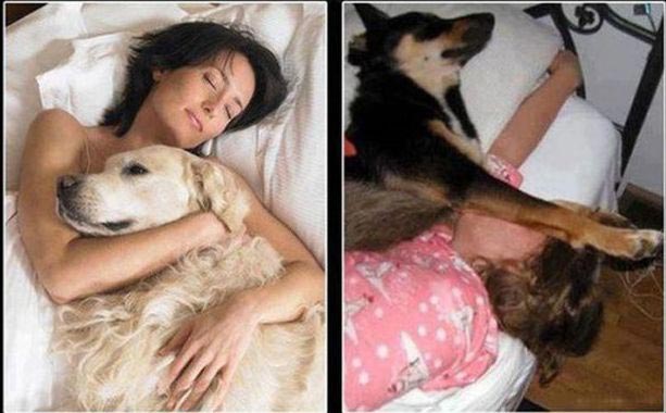 ожидание против реальности, в стиле ожидание против реальности