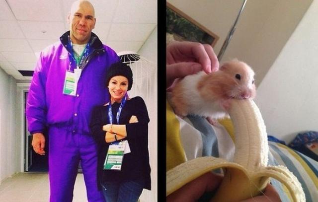 Позитив, юмор, смешные фотографии,прикол