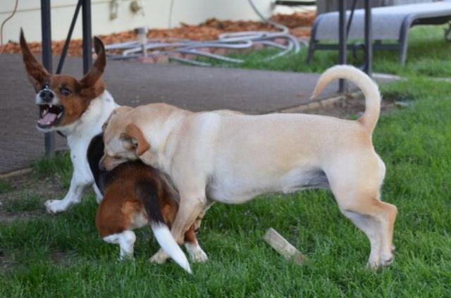 Позитив, юмор, смешные фотографии,прикол