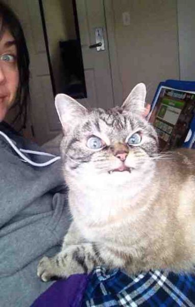 Позитив, юмор, смешные фотографии,прикол