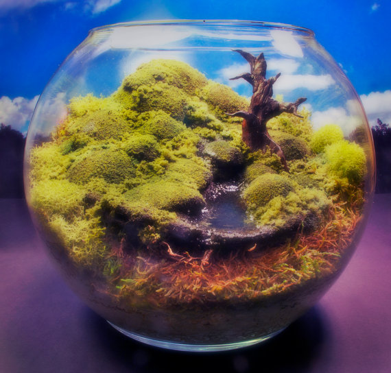 The Wonder Room,чудесная комната, сказочные, миниатюры, за стеклом, Тони Ларсон, Tony Larson