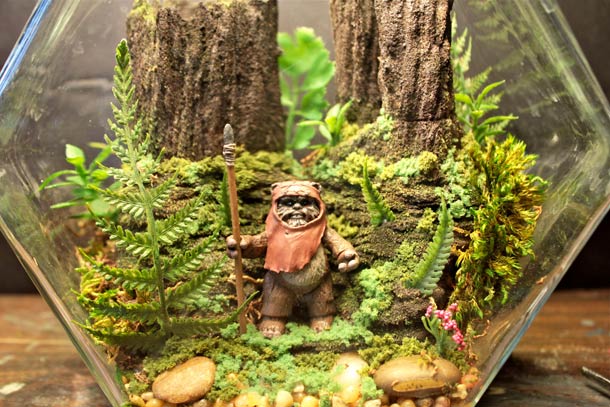 The Wonder Room,чудесная комната, сказочные, миниатюры, за стеклом, Тони Ларсон, Tony Larson